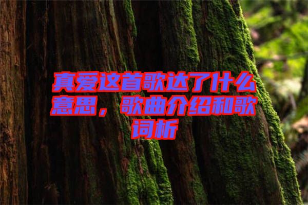 真愛(ài)這首歌達(dá)了什么意思，歌曲介紹和歌詞析