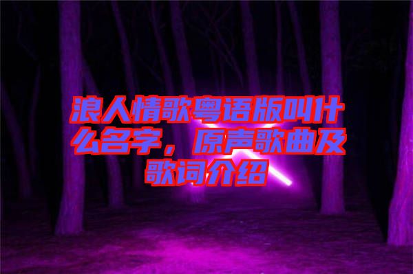 浪人情歌粵語(yǔ)版叫什么名字，原聲歌曲及歌詞介紹