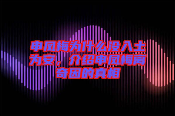 申鳳梅為什么沒入土為安，介紹申鳳梅離奇因的真相