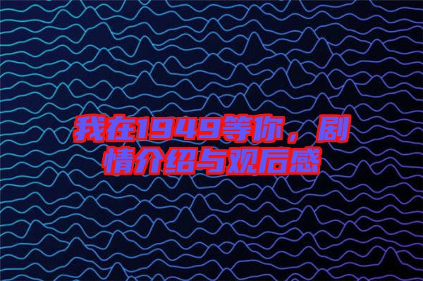 我在1949等你，劇情介紹與觀后感