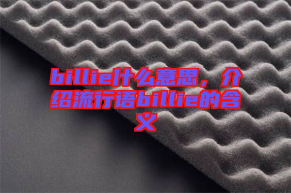 billie什么意思，介紹流行語billie的含義