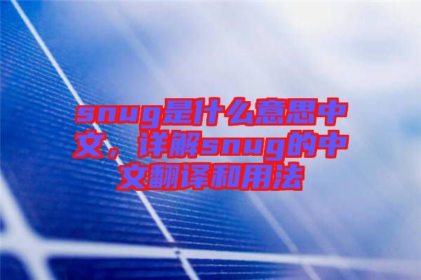 snug是什么意思中文，詳解snug的中文翻譯和用法