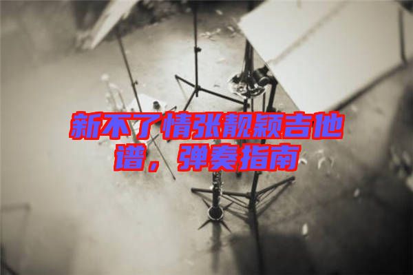 新不了情張靚穎吉他譜，彈奏指南
