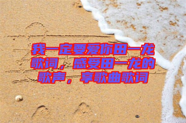 我一定要愛你田一龍歌詞，感受田一龍的歌聲，享歌曲歌詞