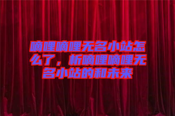 嘀哩嘀哩無名小站怎么了，析嘀哩嘀哩無名小站的和未來
