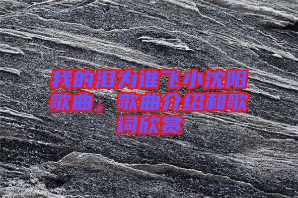 我的淚為誰飛小沈陽歌曲，歌曲介紹和歌詞欣賞