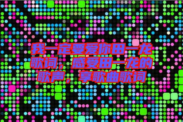 我一定要愛你田一龍歌詞，感受田一龍的歌聲，享歌曲歌詞