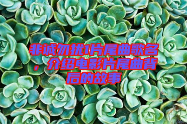 非誠勿擾1片尾曲歌名，介紹電影片尾曲背后的故事