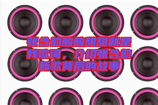 張含韻酸酸甜甜就是我歌詞，介紹張含韻新歌背后的故事