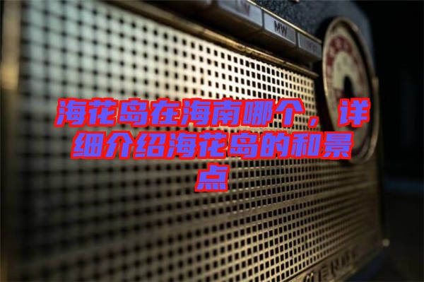 ?；◢u在海南哪個，詳細介紹海花島的和景點