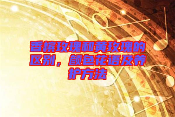 香檳玫瑰和黃玫瑰的區(qū)別，顏色花語及養(yǎng)護(hù)方法