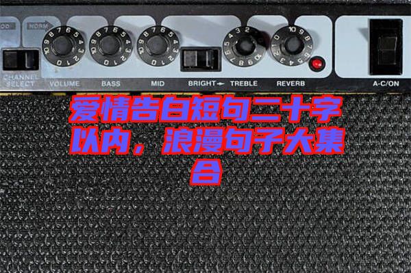 愛情告白短句二十字以內(nèi)，浪漫句子大集合