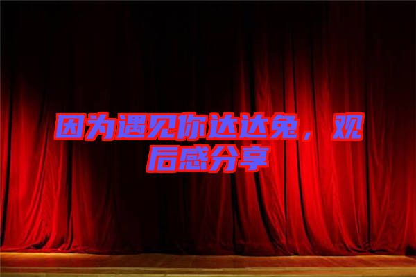 因為遇見你達達兔，觀后感分享