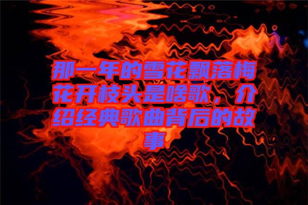 那一年的雪花飄落梅花開枝頭是啥歌，介紹經(jīng)典歌曲背后的故事