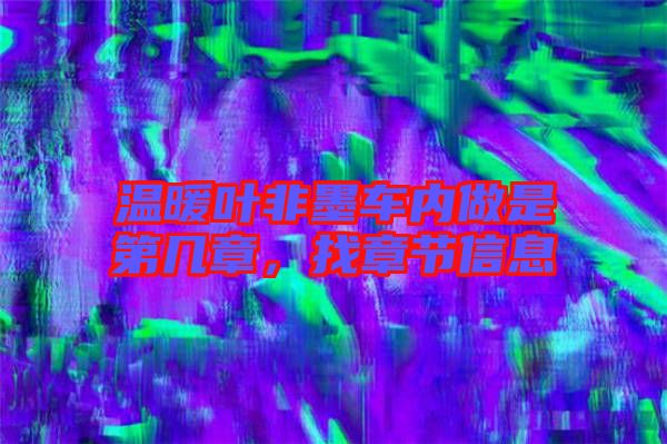 溫暖葉非墨車內(nèi)做是第幾章，找章節(jié)信息