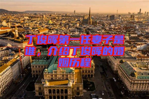 丁俊暉第一任妻子是誰，介紹丁俊暉的婚姻歷程