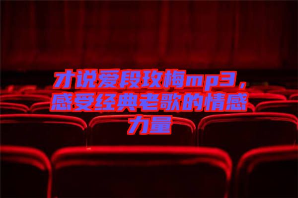 才說愛段玫梅mp3，感受經(jīng)典老歌的情感力量