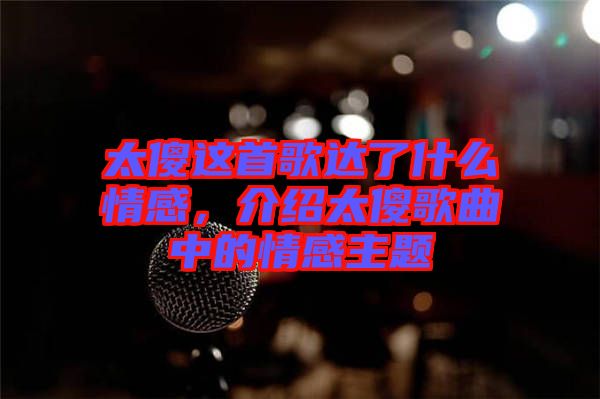 太傻這首歌達(dá)了什么情感，介紹太傻歌曲中的情感主題