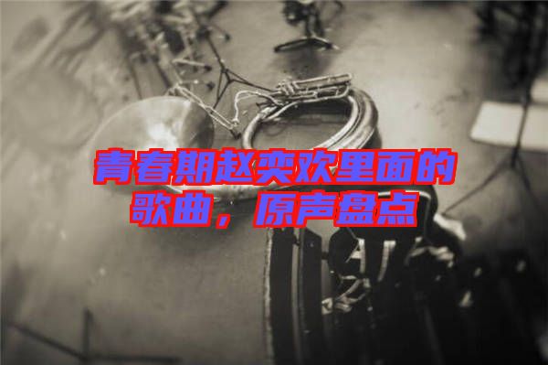 青春期趙奕歡里面的歌曲，原聲盤點(diǎn)