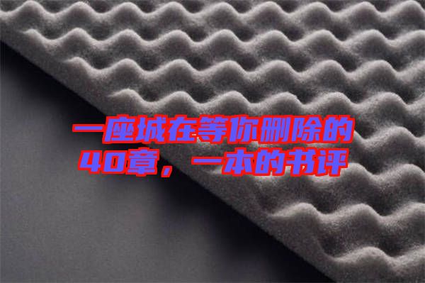 一座城在等你刪除的40章，一本的書評(píng)