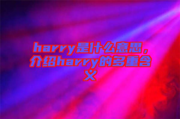 harry是什么意思，介紹harry的多重含義