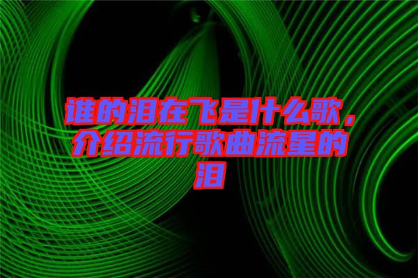 誰的淚在飛是什么歌，介紹流行歌曲流星的淚
