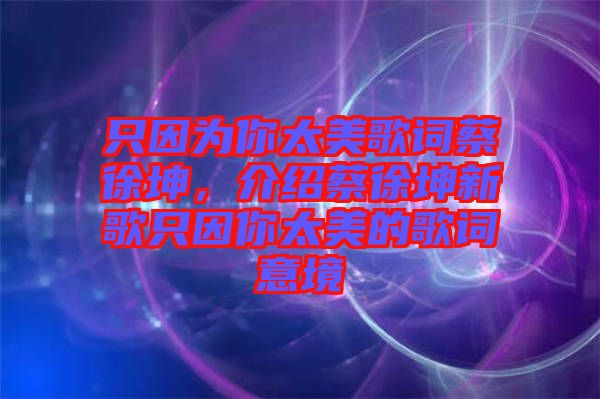 只因?yàn)槟闾栏柙~蔡徐坤，介紹蔡徐坤新歌只因你太美的歌詞意境