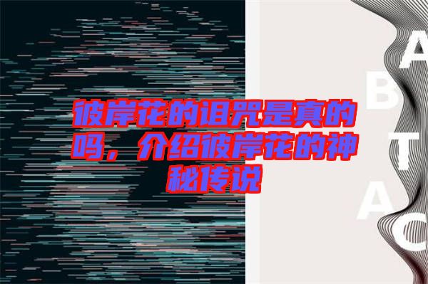 彼岸花的詛咒是真的嗎，介紹彼岸花的神秘傳說(shuō)