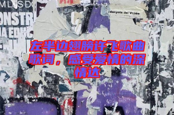 左半邊翅膀許飛歌曲歌詞，感受愛情的深情達(dá)