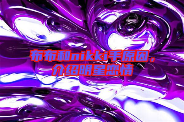 布布和nikki手原因，介紹明星戀情