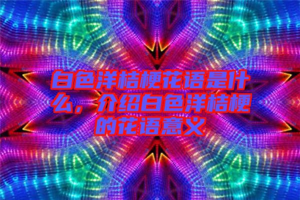 白色洋桔?；ㄕZ是什么，介紹白色洋桔梗的花語意義