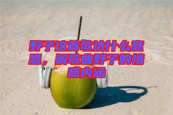 野子這首歌達(dá)什么意思，解歌曲野子的情感內(nèi)涵