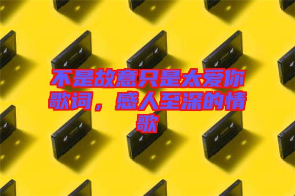 不是故意只是太愛你歌詞，感人至深的情歌