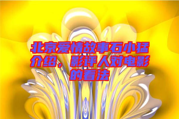 北京愛情故事石小猛介紹，影評人對電影的看法