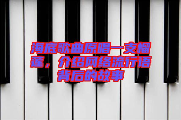 海底歌曲原唱一支榴蓮，介紹網(wǎng)絡(luò)流行語背后的故事
