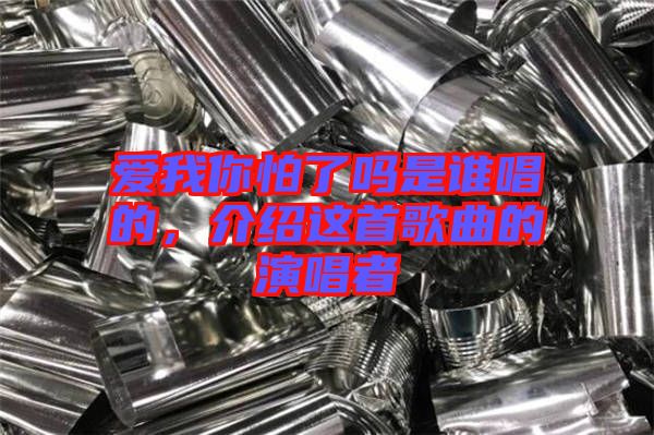 愛我你怕了嗎是誰唱的，介紹這首歌曲的演唱者