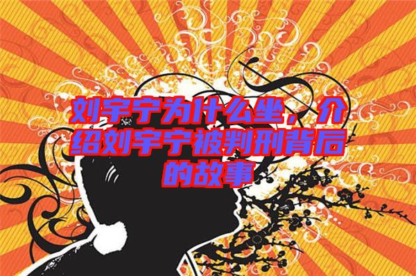 劉宇寧為什么坐，介紹劉宇寧被判刑背后的故事