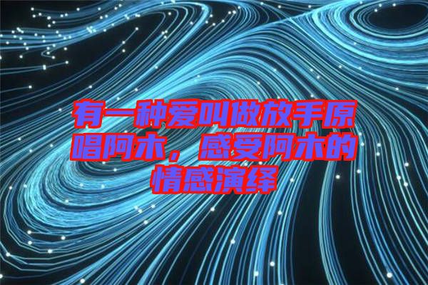 有一種愛叫做放手原唱阿木，感受阿木的情感演繹