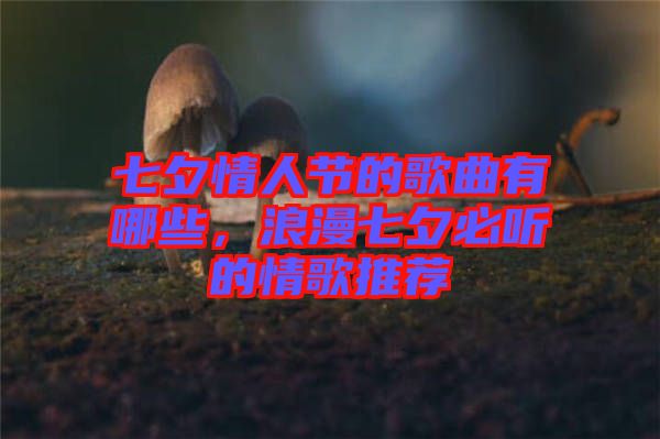 七夕情人節(jié)的歌曲有哪些，浪漫七夕必聽(tīng)的情歌推薦