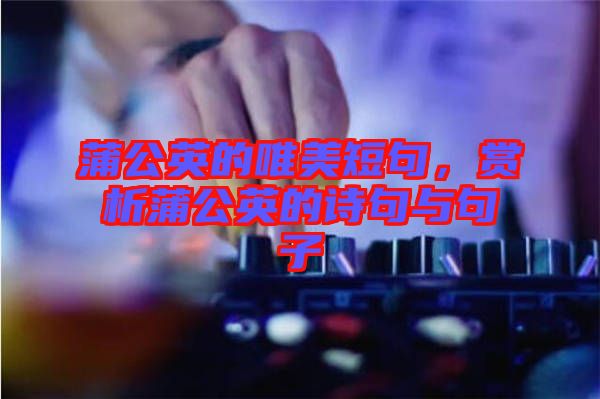 蒲公英的唯美短句，賞析蒲公英的詩句與句子