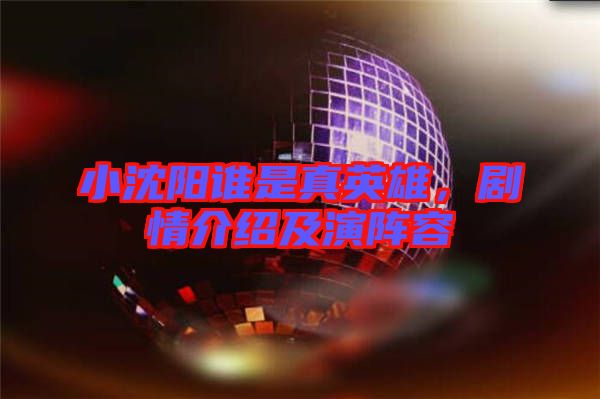 小沈陽誰是真英雄，劇情介紹及演陣容