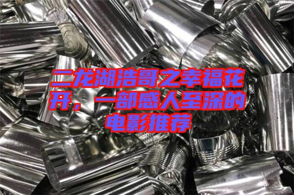 二龍湖浩哥之幸?；ㄩ_，一部感人至深的電影推薦
