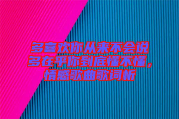 多喜歡你從來(lái)不會(huì)說(shuō)多在乎你到底懂不懂，情感歌曲歌詞析