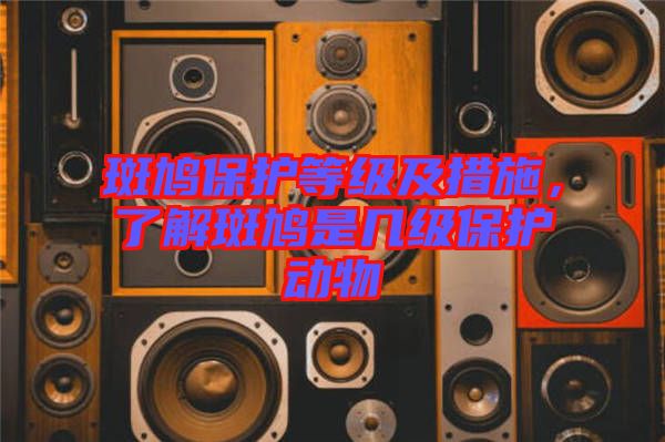 斑鳩保護(hù)等級及措施，了解斑鳩是幾級保護(hù)動物