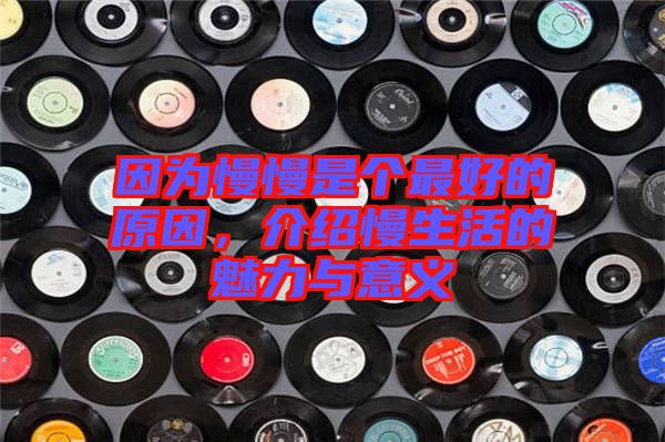 因?yàn)槁莻€(gè)最好的原因，介紹慢生活的魅力與意義