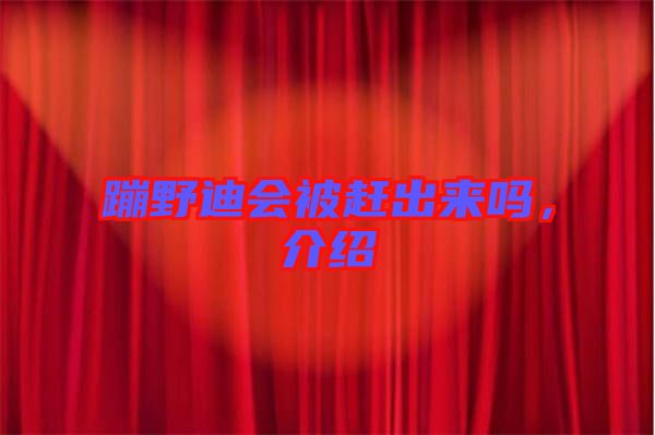 蹦野迪會被趕出來嗎，介紹