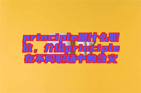 principle是什么職位，介紹principle在不同職場中的含義