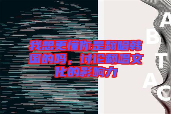 我想更懂你是翻唱韓國的嗎，討論翻唱文化的影響力