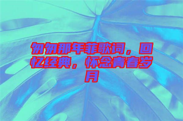 匆匆那年菲歌詞，回憶經(jīng)典，懷念青春歲月