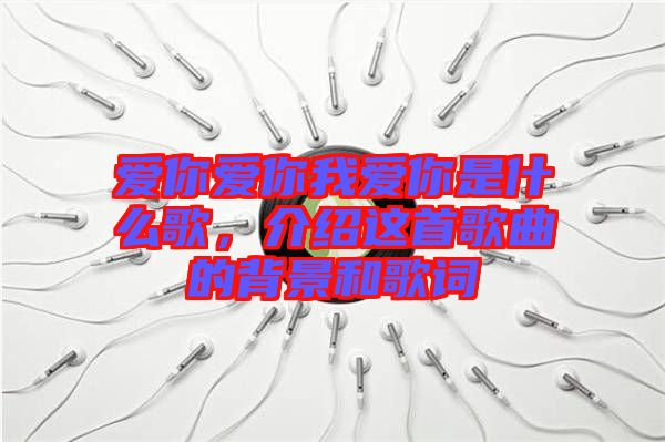 愛你愛你我愛你是什么歌，介紹這首歌曲的背景和歌詞